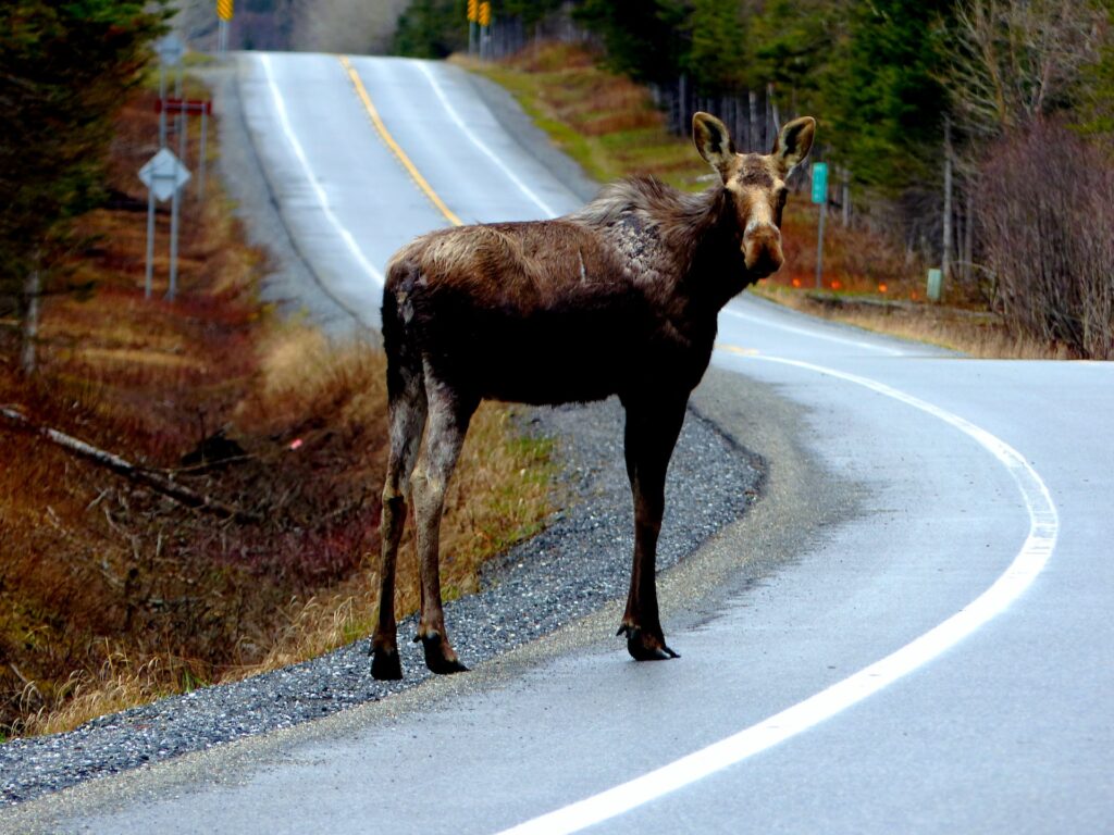 Autotour Gaspésie Canada