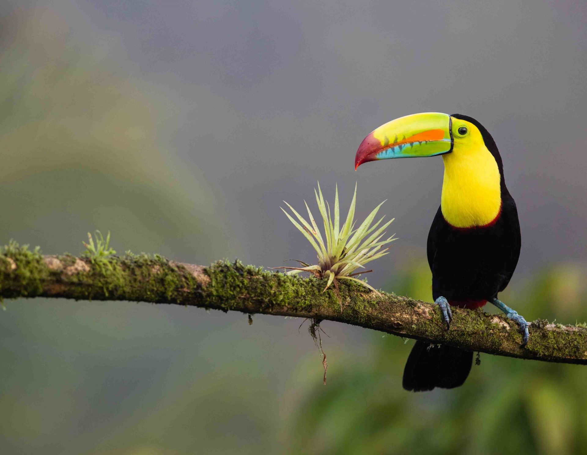 découvrir le Costa Rica