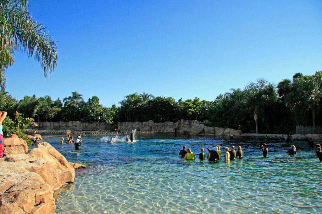 discovery cove orlando