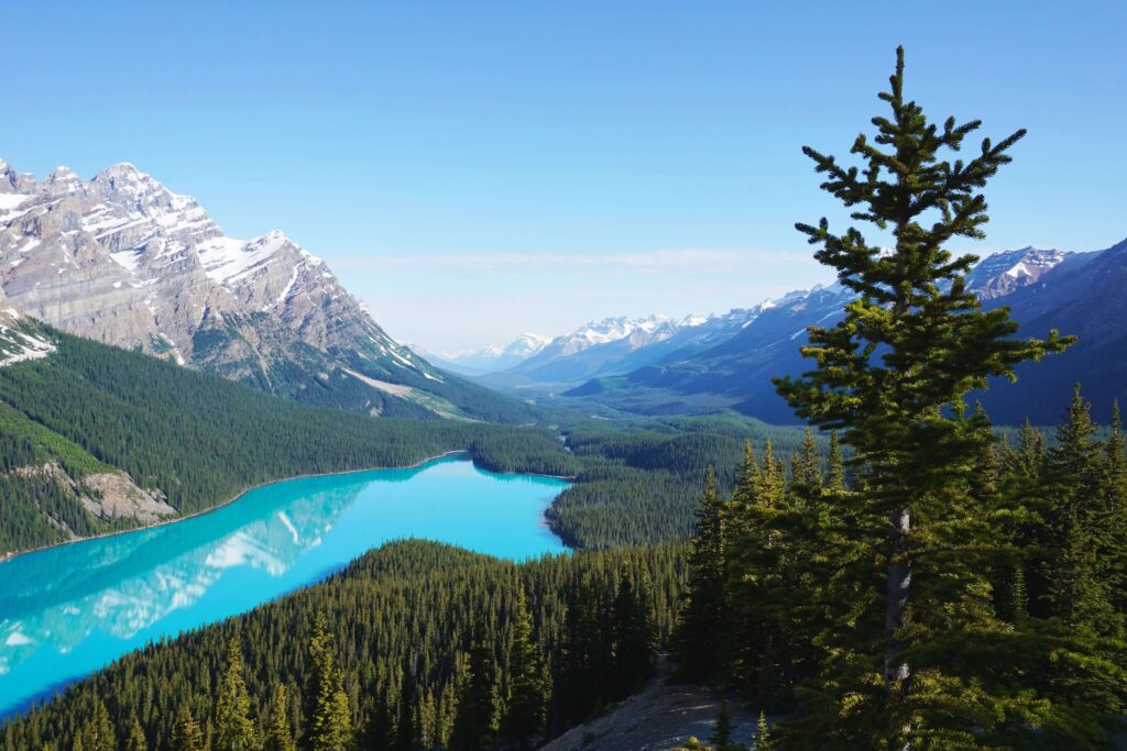 lac Peyto ouest canadien