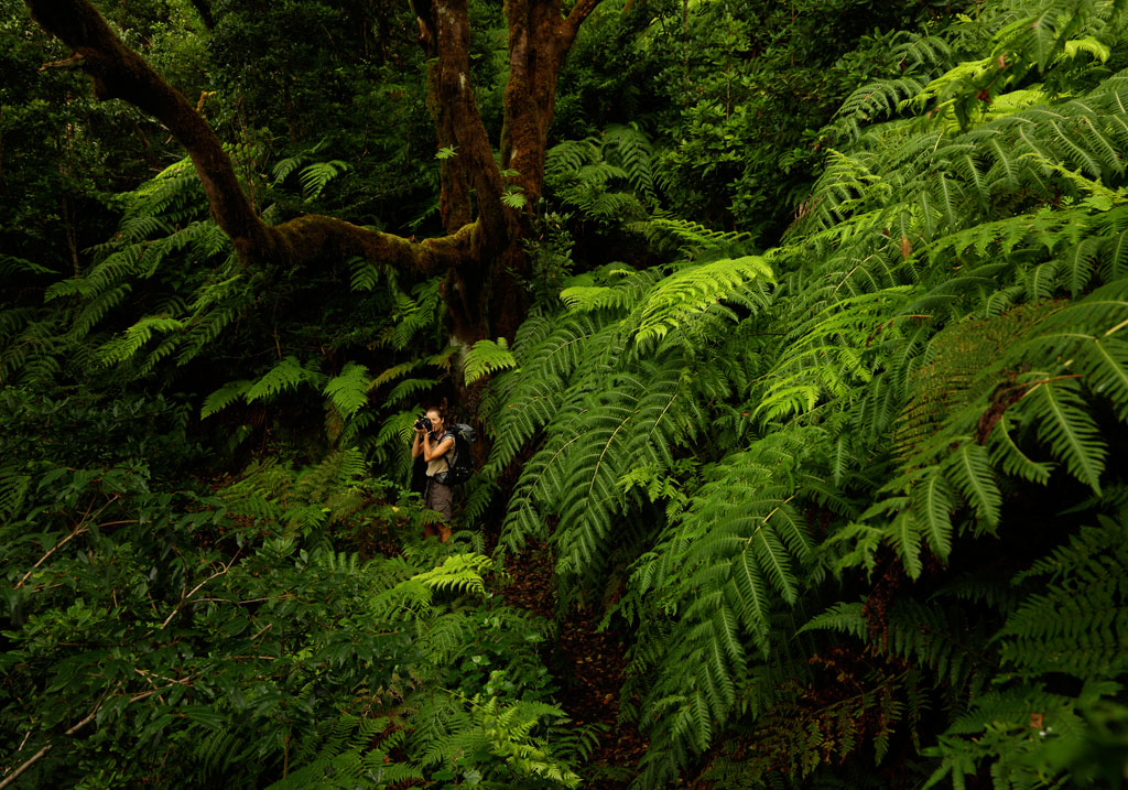 parcs naturels que faire à tenerife