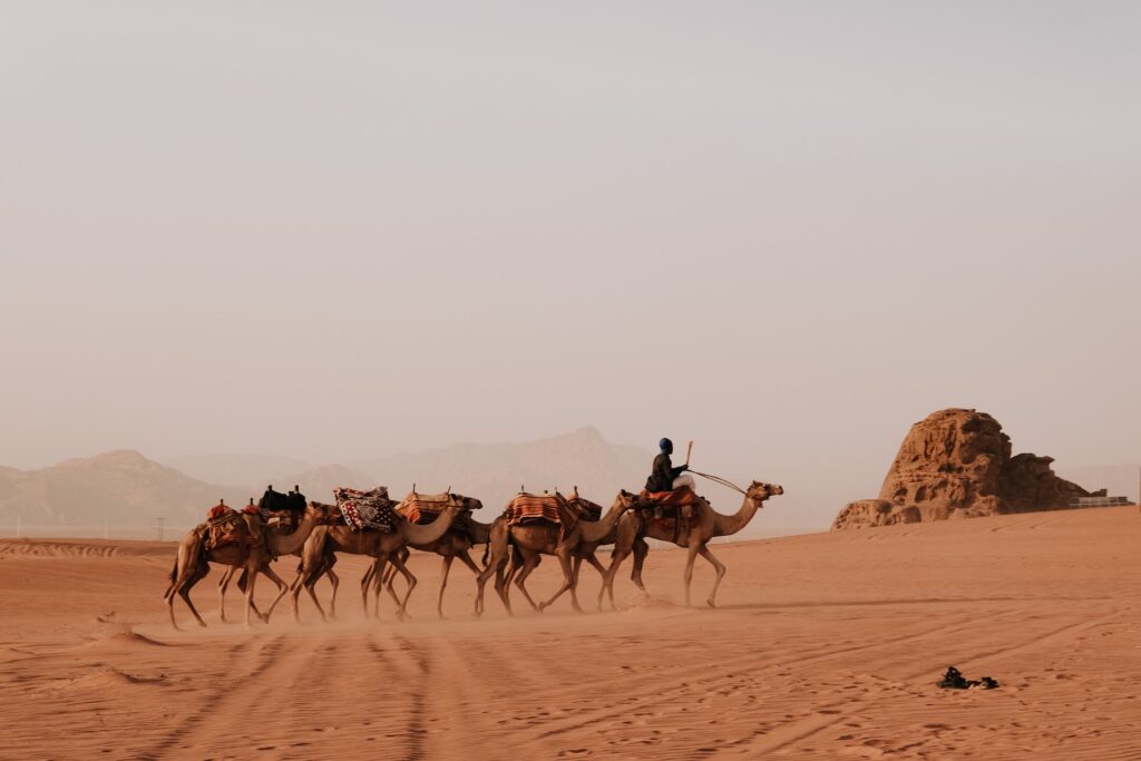 désert en jordanie - circuit 10 jours