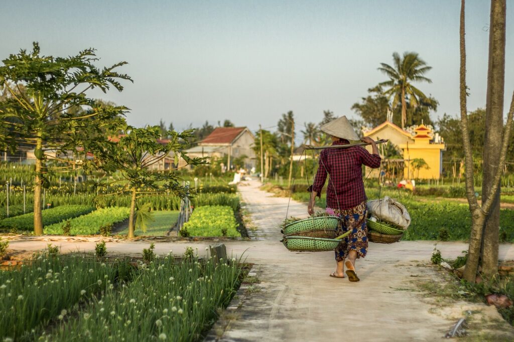 que faire ) ho chi minh en 3 jours