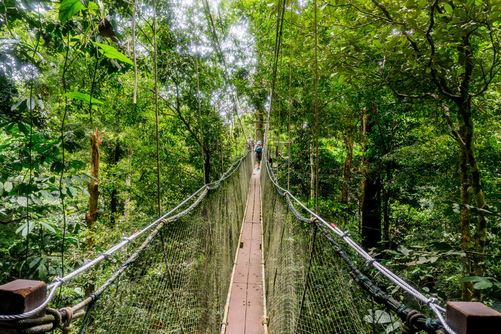 Gunnung Mulu