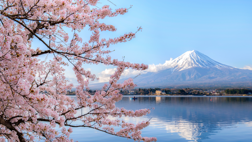 voyage tour du monde japon