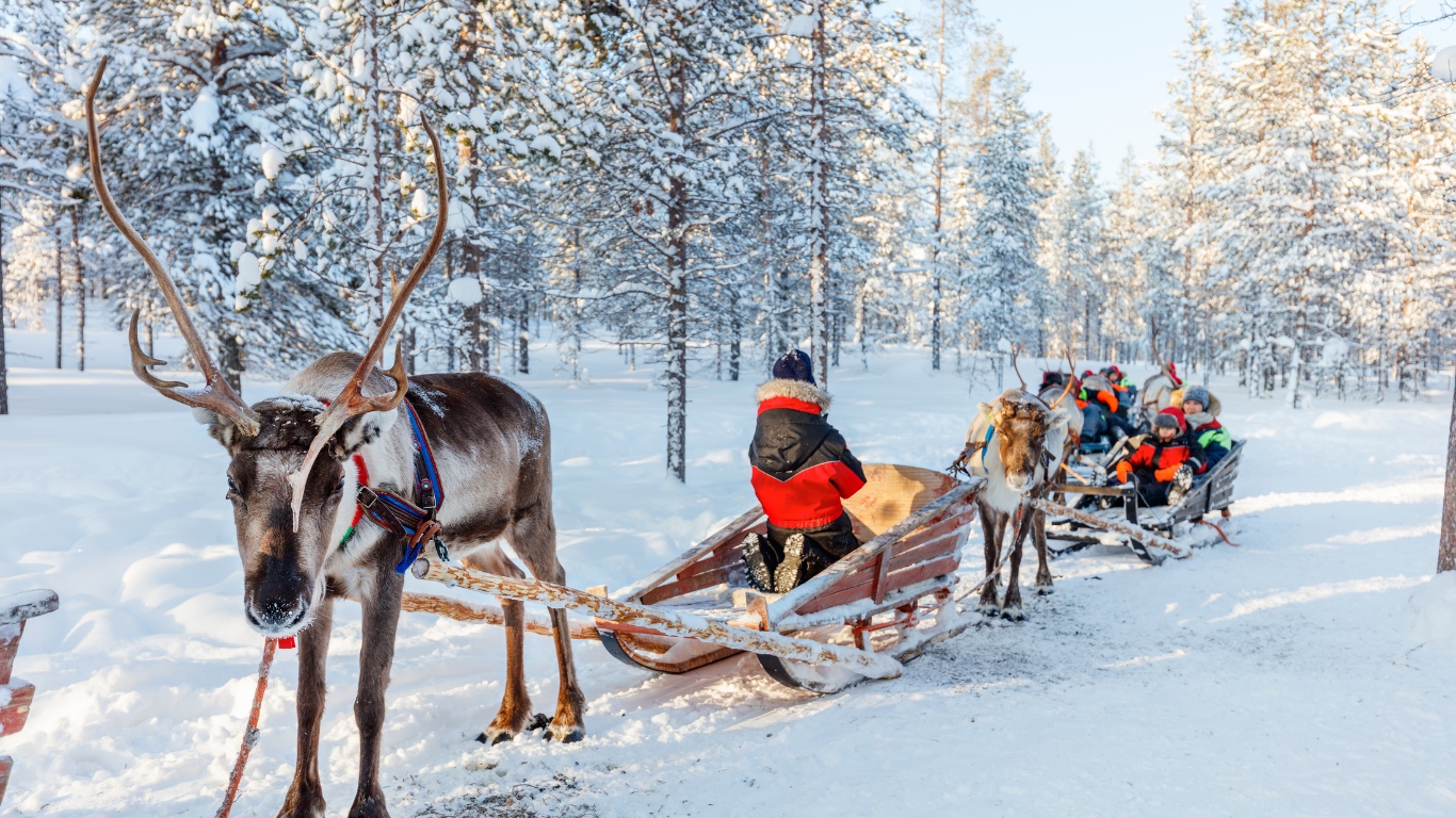 Christmas in Lapland with the family