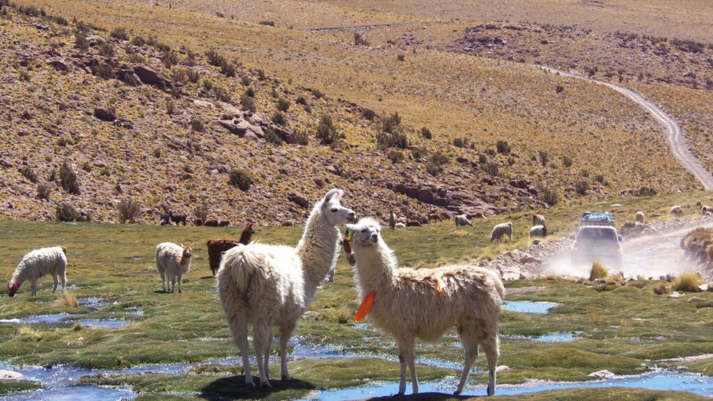 voyage sur mesure bolivie