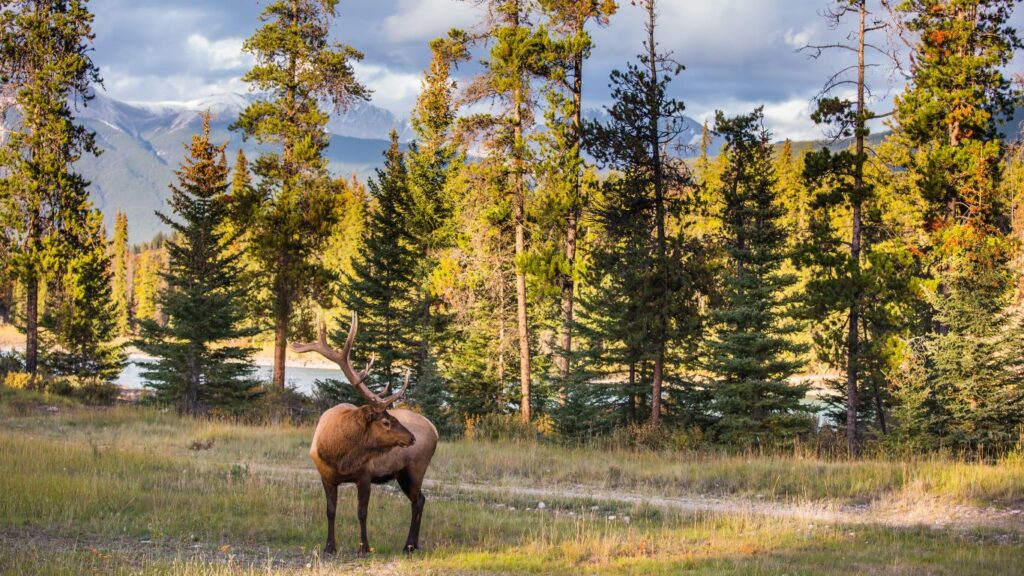 Les activités à faire pendant l’été indien