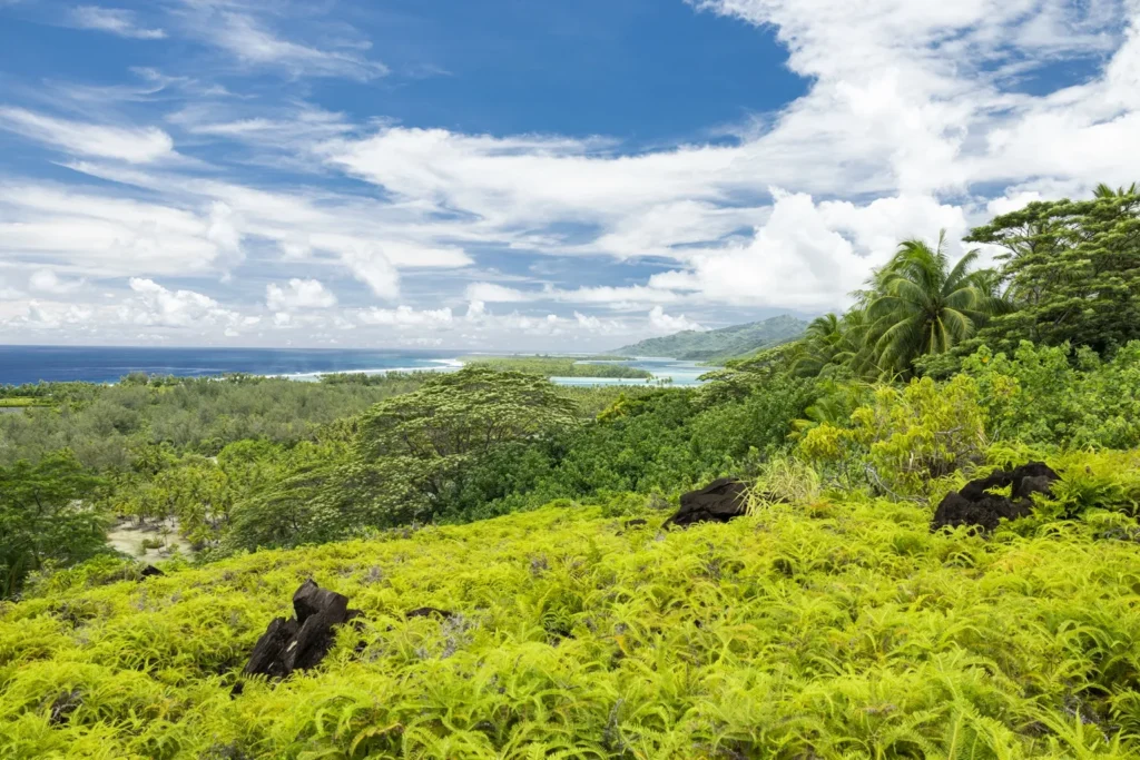 Circuit de luxe Huahine