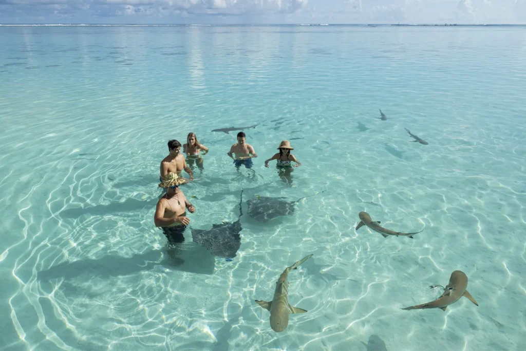 Voyage de luxe moorea polynesie