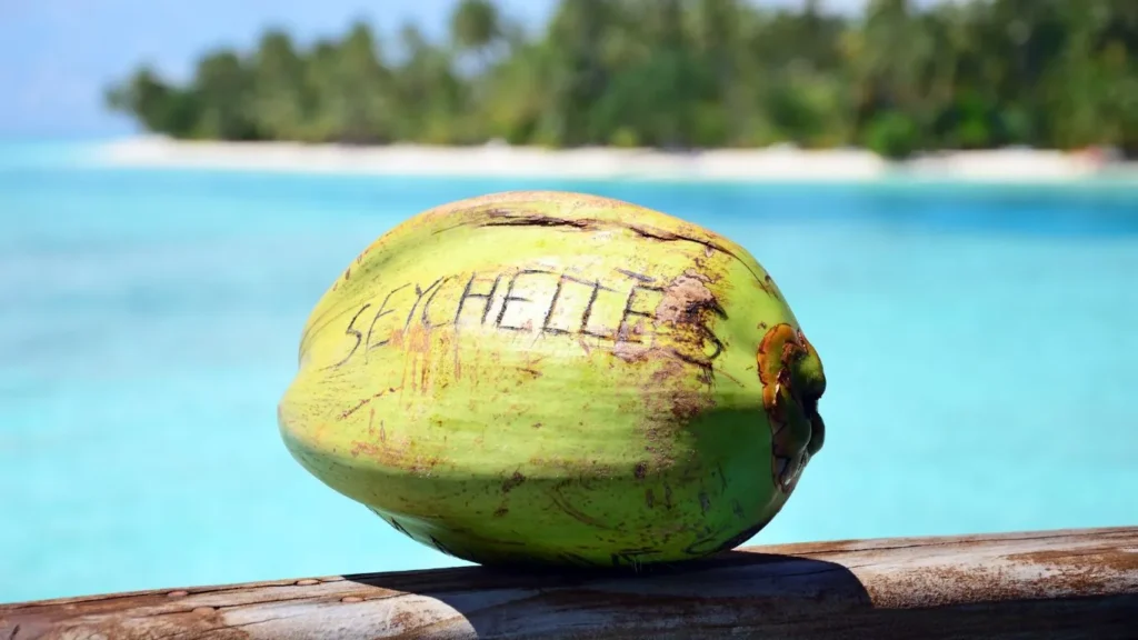 Voyage Afrique du Sud et Seychelles