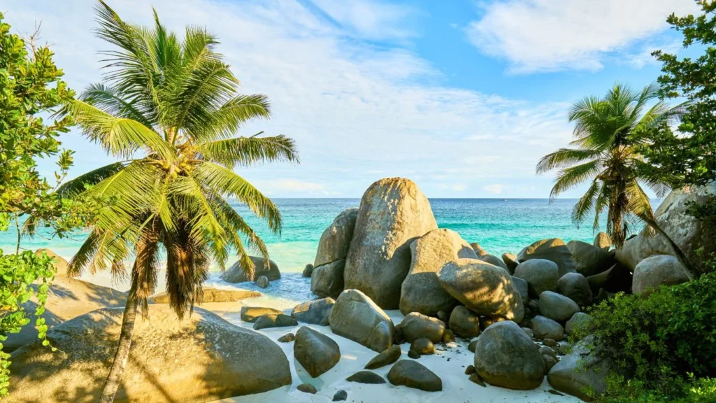 Combiné Afrique du Sud - Seychelles