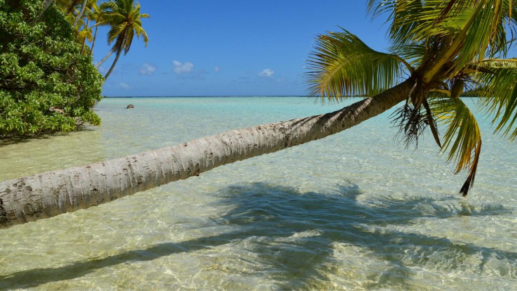 Raiatea combiné polynésie 5 îles