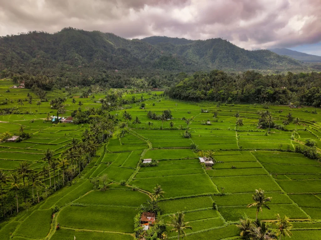 circuit bali 10 jours