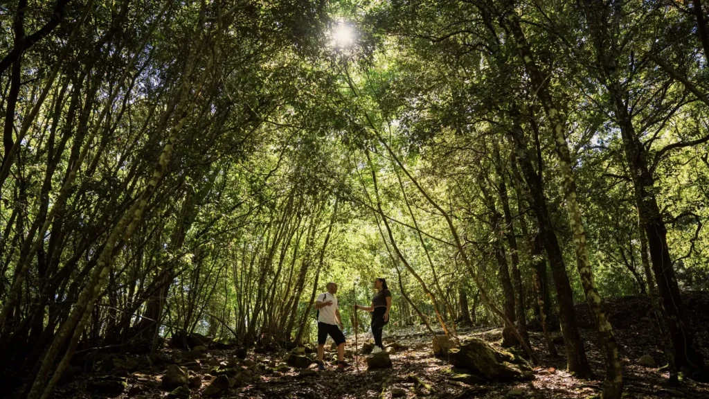 Randonnée dans les forêts toscanes au Rosewood Castiglion del Bosco, voyage luxe en Italie