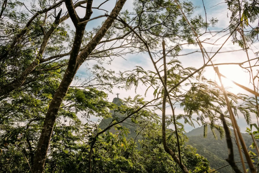 Christ Rédempteur aperçu à travers la forêt atlantique de la Tijuca à Rio de Janeiro