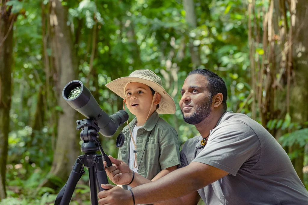 Observation de oiseaux à North Island Seychelles – voyage luxe aux Seychelles