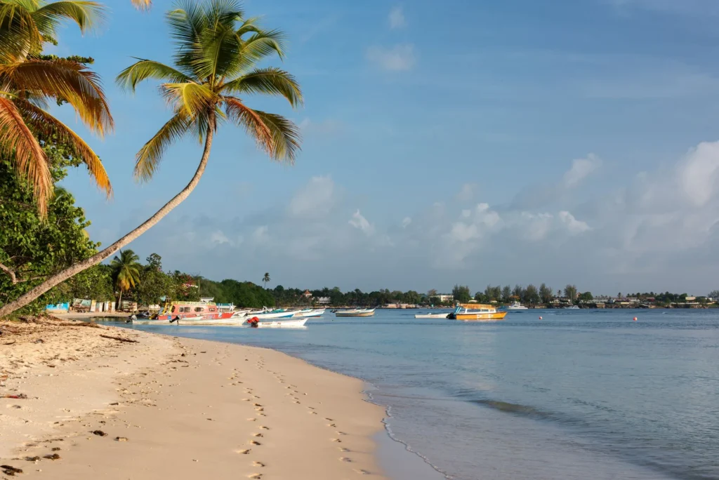 Plage et barques de pêcheurs sous les cocotiers en Martinique